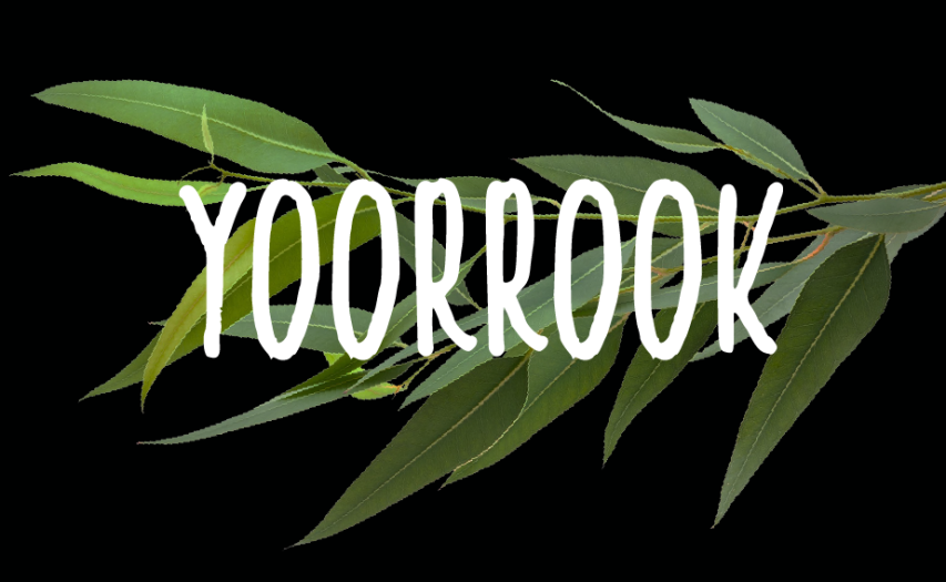 Text: 'Yoorrook'