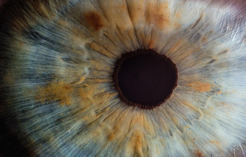 Close up image of an eye ball